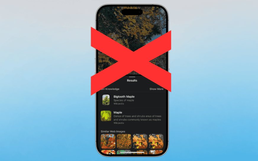 Impossible d’identifier les plantes dans les photos sur iOS 18/18.1 ? Corrections rapides