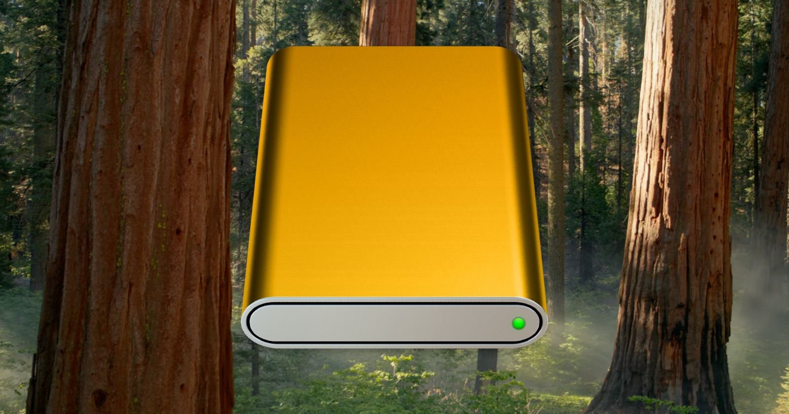 Safari ne peut pas télécharger de fichiers sur votre lecteur externe? Voici quoi faire
