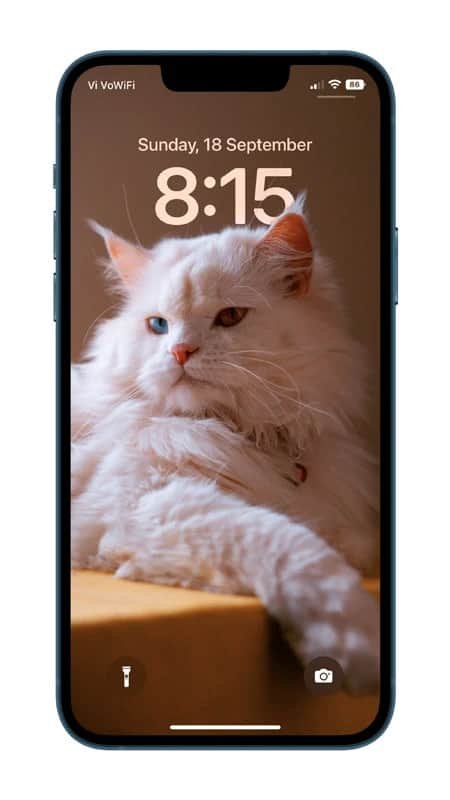 Cat avec une hétérochrome en profondeur Effet de papier peint pour iPhone