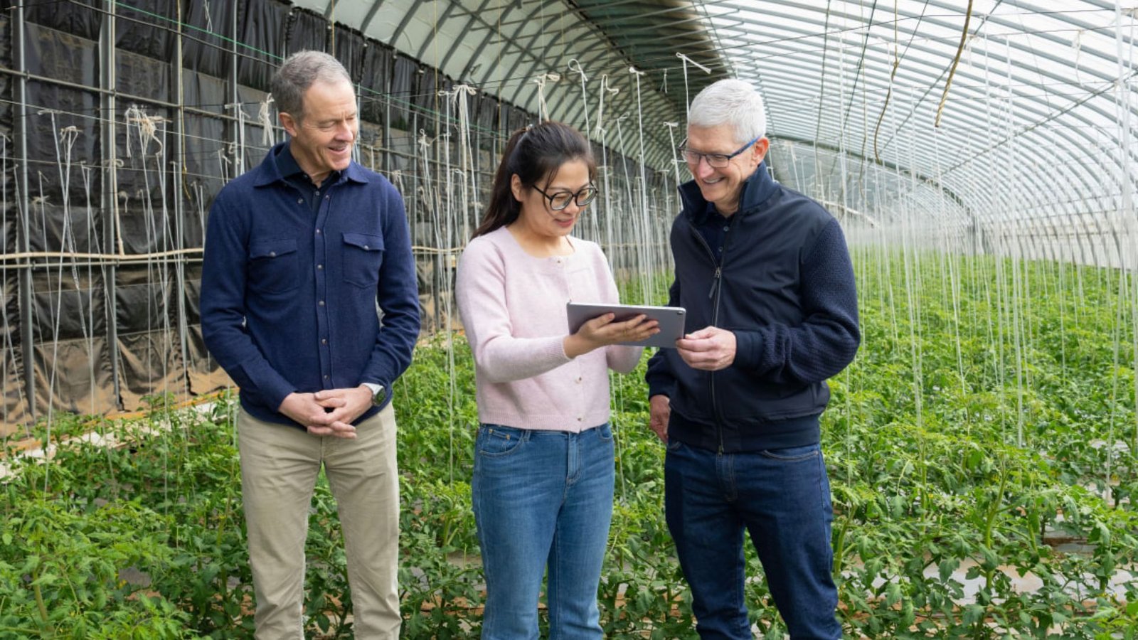 Le leadership de conception d’Apple revient au PDG Tim Cook après la retraite de Williams